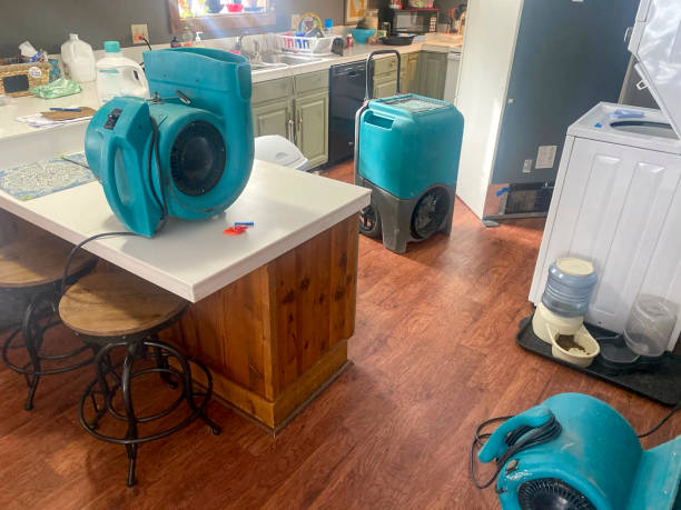 Best Ceiling water damage repair  in Youngsville, NC