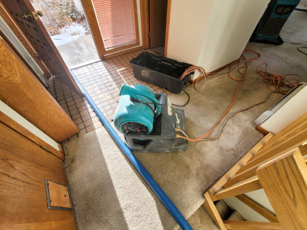 Best Water damage restoration experts  in Youngsville, NC