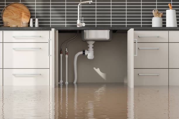 Best Commercial water damage restoration  in Youngsville, NC